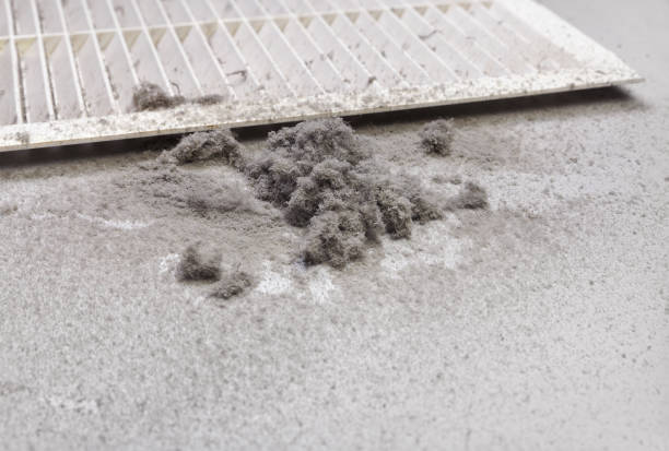 Best Commercial Air Duct Cleaning  in Hopewell, TN