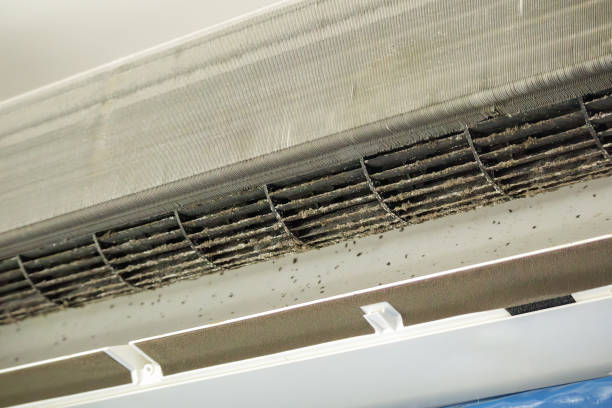 Air Duct Mold Removal in Hopewell, TN